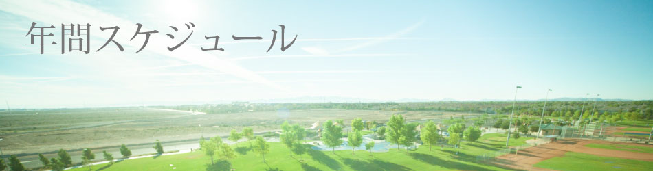 年間スケジュール
